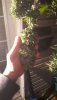 IMG-20190928-WA0004.jpeg