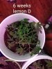 20191006_210141.jpg