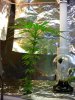 DSCN7563.jpg