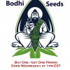 Bodhi BOGO offer ending.jpg