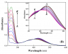 a-UV-absorption-spectra-of-DNA-with-various-concentrations-of-curcumin-Inset-comparison~2.png