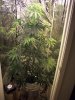 100_1059.jpg