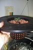 101_0001.jpg