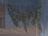 74E0D157-BC46-4DC4-B918-5AC87FA2EA20.jpeg