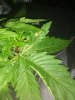 IMG-20191208-WA0005.jpg