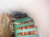DSCF1211.jpg