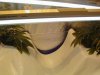 5th day flowering (7).jpg