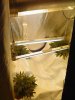 5th day flowering (8).jpg