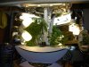DSCN7751.jpg