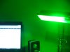 6th day hps (11).JPG