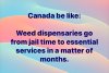Canada_Weed.jpg