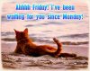 276144-Ahhh-Friday-I-ve-Been-Waiting-For-You-Since-Monday-.jpg