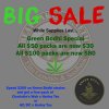 Green Bodhi Promo.jpg