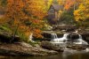 Fall-793x526.jpg