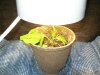 100_0560.jpg