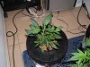 DSCF1561.jpg