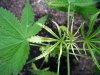2009_05230006.JPG