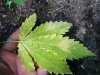 2009_05230003.JPG