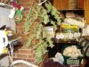 DSC02056.jpg