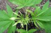 2009_05240005.jpg