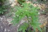 2009_05240002.jpg