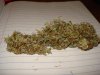 THC Bomb #2 - 1.jpg