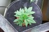 100_0087.jpg