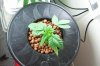 100_0088.jpg
