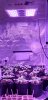 20200501_141727.jpg