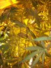 100_1164.jpg
