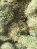2C956027-C8B8-47C4-A365-1CBD6E872B26.jpeg