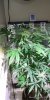 20200525_181737.jpg