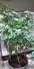 20200525_181627.jpg