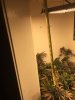 E5E790F8-801E-4807-92AA-F5F6720445D2.jpeg