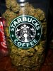 starbucks-weed.jpg