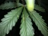 06D24CA2-D4AB-4B50-AAF0-057CE5CA2FDA.jpeg