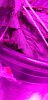 20200616_155712.jpg