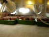 DSC00516.jpg