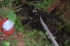 dopewear-albums-ghetto-veg-box-first-outdoor-grow-picture61155-dsc-3054.jpg