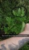 Snapchat-441148046.jpg