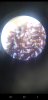 Screenshot_20200619-181816_Gallery.jpg