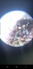 Screenshot_20200619-181834_Gallery.jpg