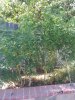 20200628_174454.jpg