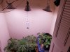 20200624_130448.jpg