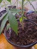 20200701_121918.jpg
