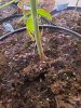 20200701_121906.jpg