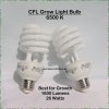 Daylight 6500k CFL.jpg