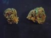 cbd weed.jpg