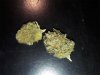 caramel-candy-kush__primary_d386.jpg
