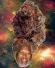 Morgan-Weedman-outer-space-high.jpg